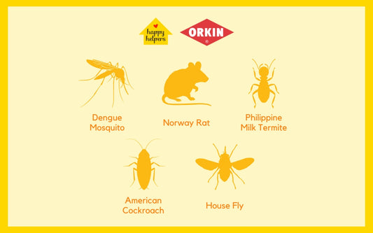3 Benefits of Hiring a Pest Control Service for your Home