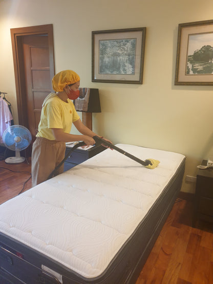 Upholstery Cleaning: With Foam Shampoo & Steam (5 hours)