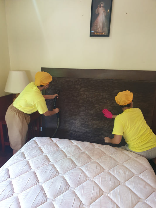 Upholstery Cleaning - Mattress Headboard